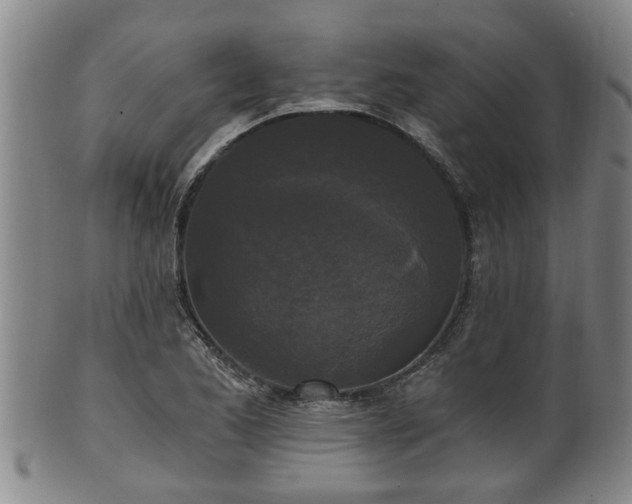 X0000100871173200806271105