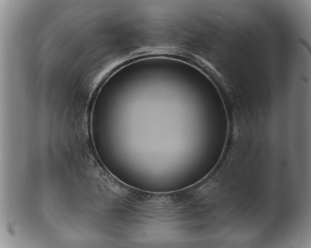 X0000100871174200806271105