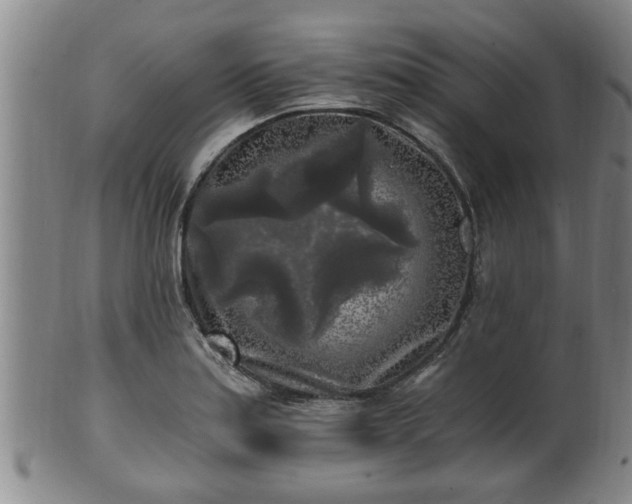 X0000100871179200806271105