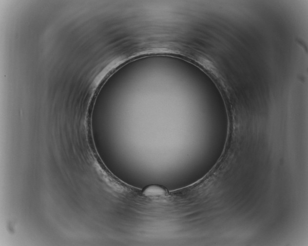 X0000100871181200806271105