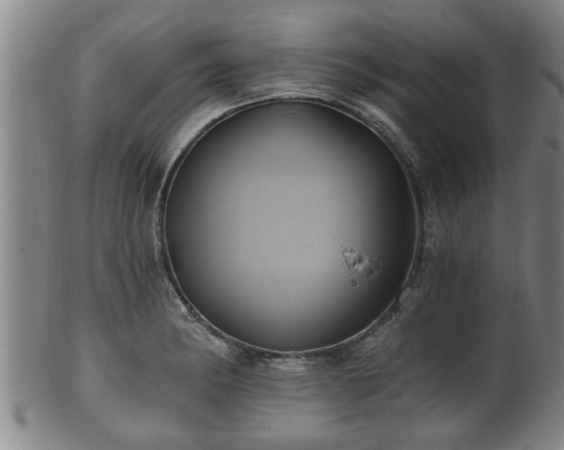 X0000100871182200806271105