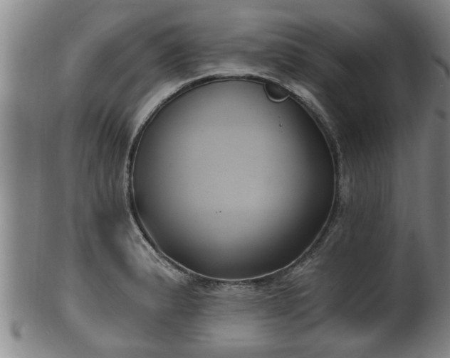 X0000100871183200806271105