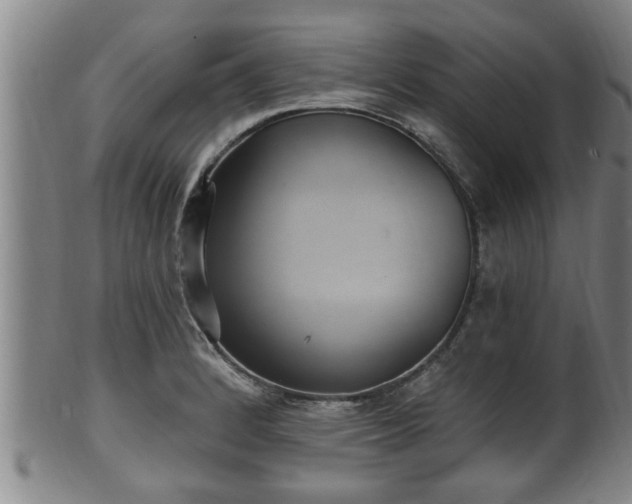 X0000100871184200806271105