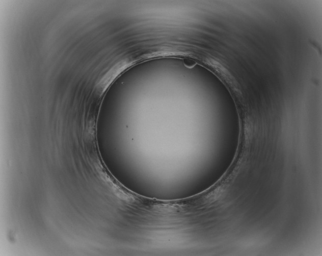 X0000100871185200806271105