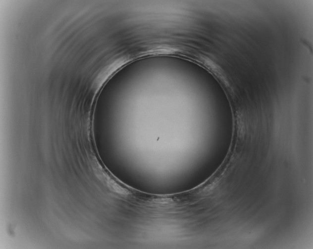 X0000100871186200806271105