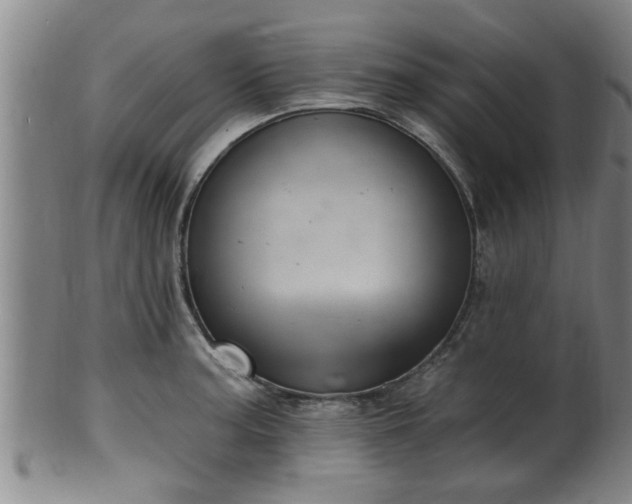 X0000100871187200806271105