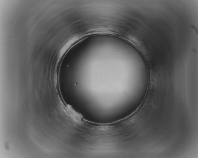 X0000100871188200806271105