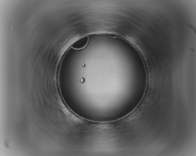 X0000100871189200806271105