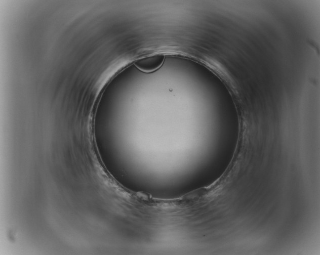 X0000100871190200806271105