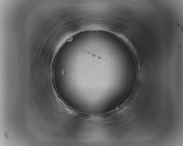 X0000100871191200806271105