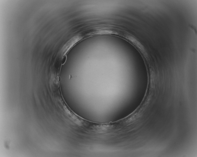 X0000100871193200806271105