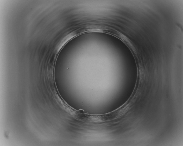 X0000100871194200806271105