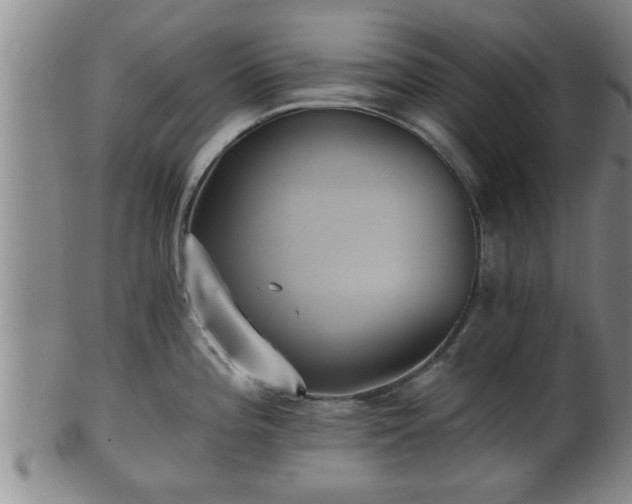 X0000100871196200806271105