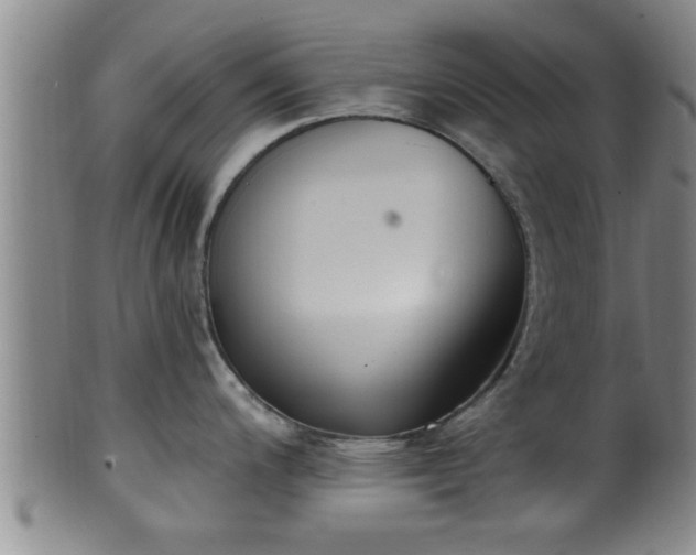 X0000100871200200806271105