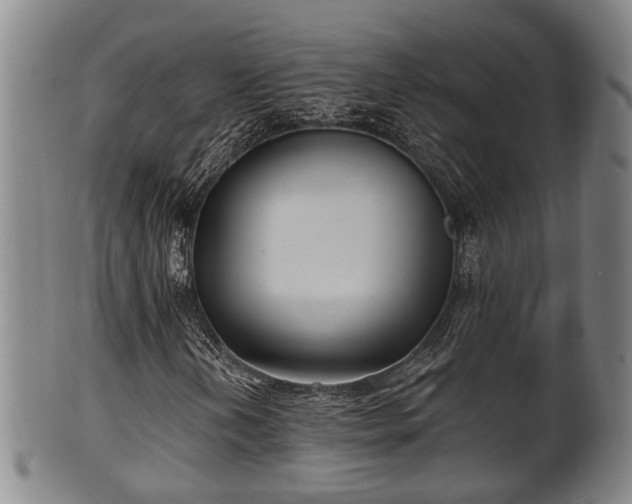 X0000100871202200806271104