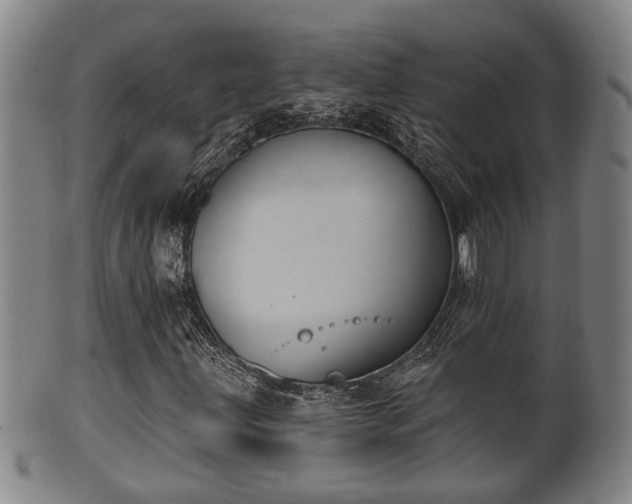 X0000100871203200806271104