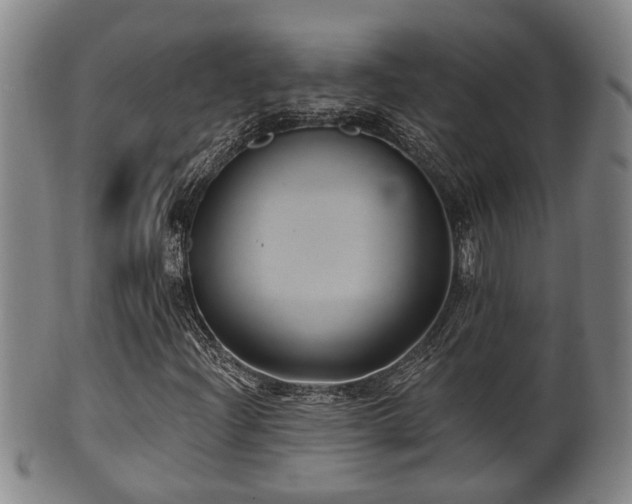 X0000100871204200806271104