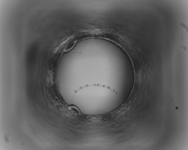 X0000100871205200806271104