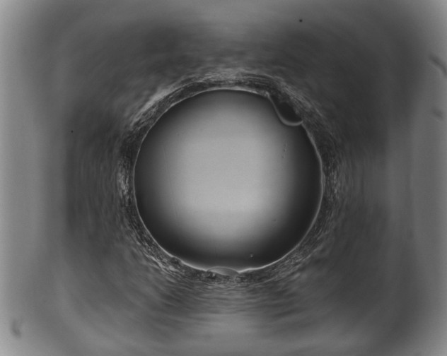 X0000100871206200806271104