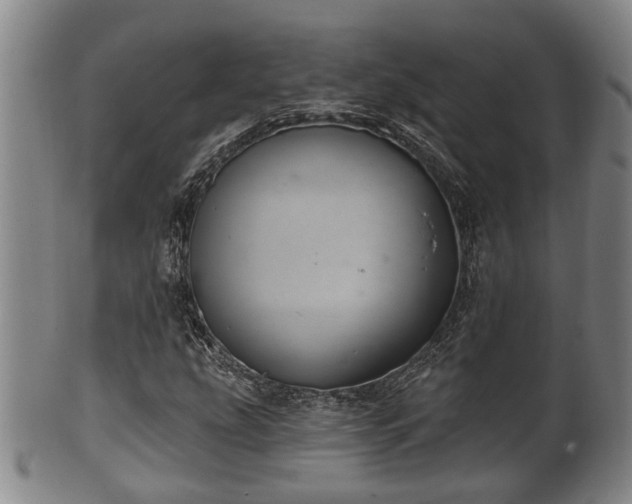 X0000100871207200806271104