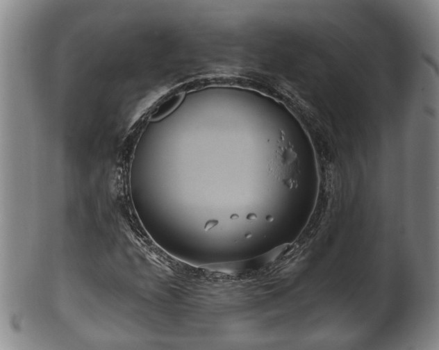 X0000100871208200806271104