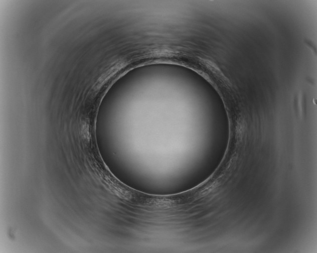 X0000100871209200806271104