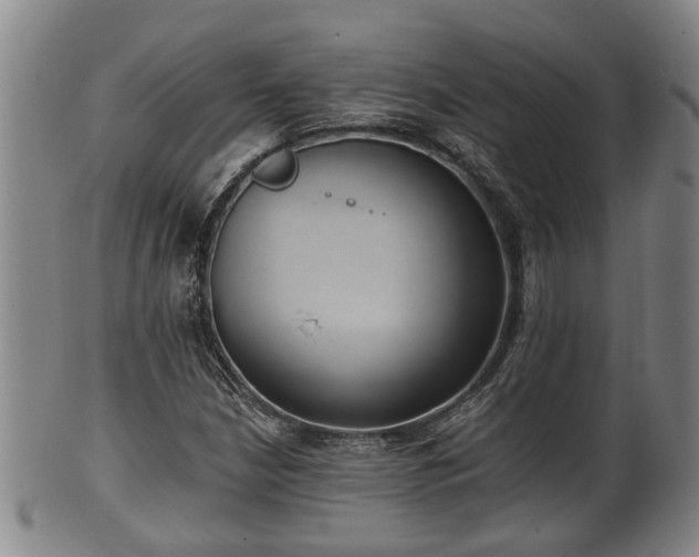 X0000100871210200806271104