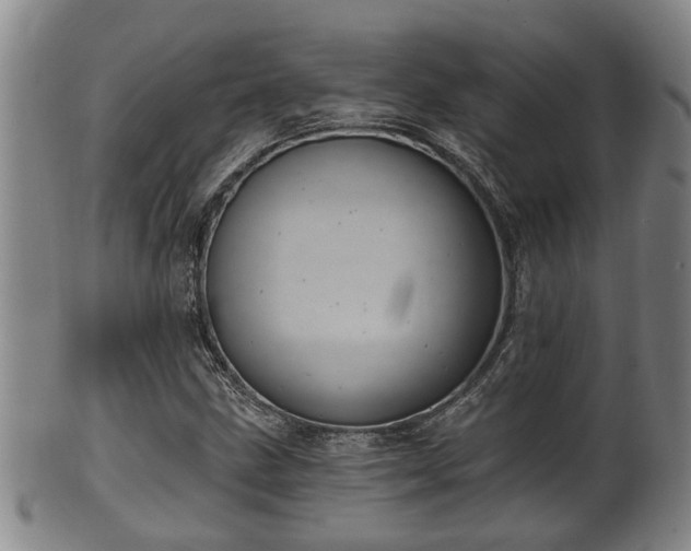 X0000100871211200806271104