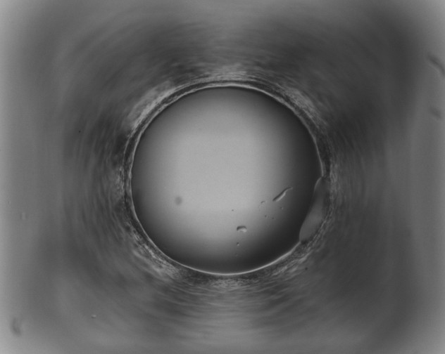 X0000100871212200806271104