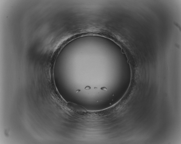 X0000100871214200806271104