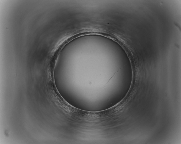 X0000100871215200806271104