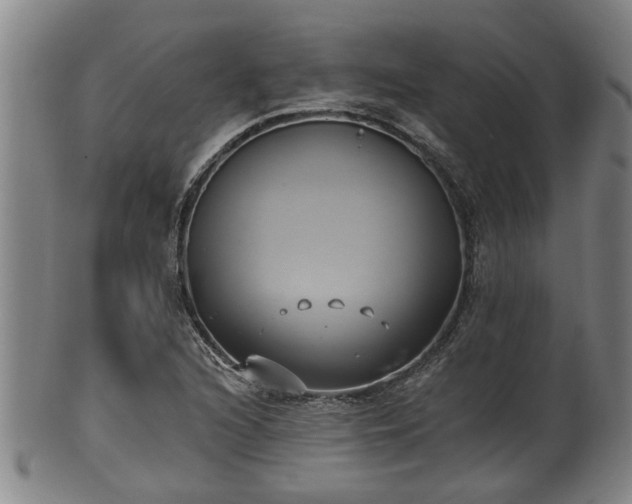 X0000100871216200806271104