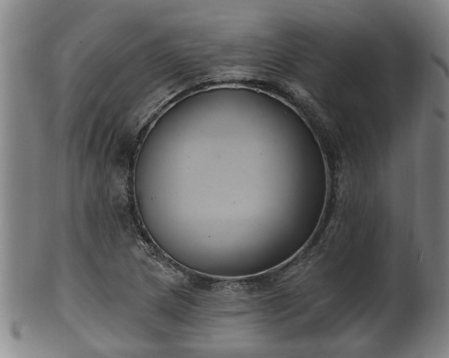 X0000100871217200806271104