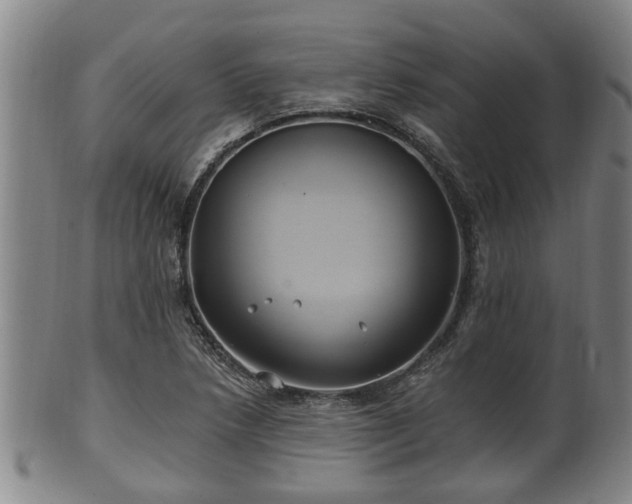 X0000100871218200806271104