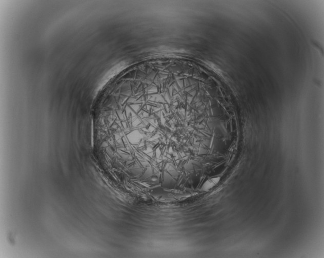 X0000100871219200806271104