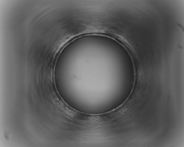 X0000100871220200806271105