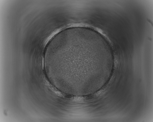 X0000100871221200806271105