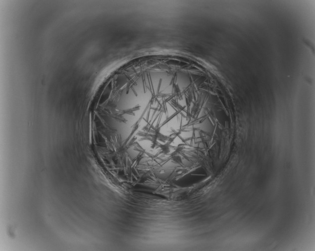 X0000100871223200806271105