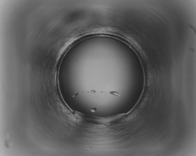 X0000100871224200806271105