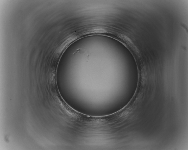 X0000100871225200806271105