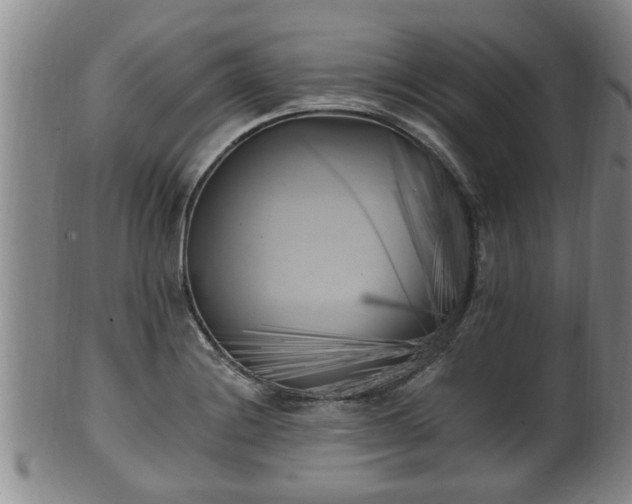 X0000100871228200806271105