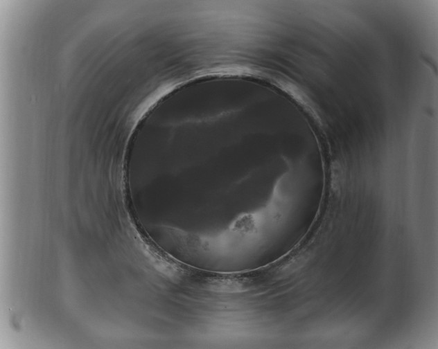 X0000100871229200806271105