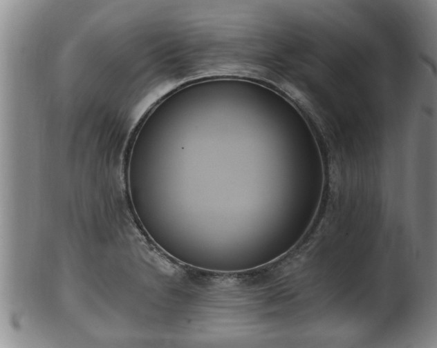 X0000100871230200806271105