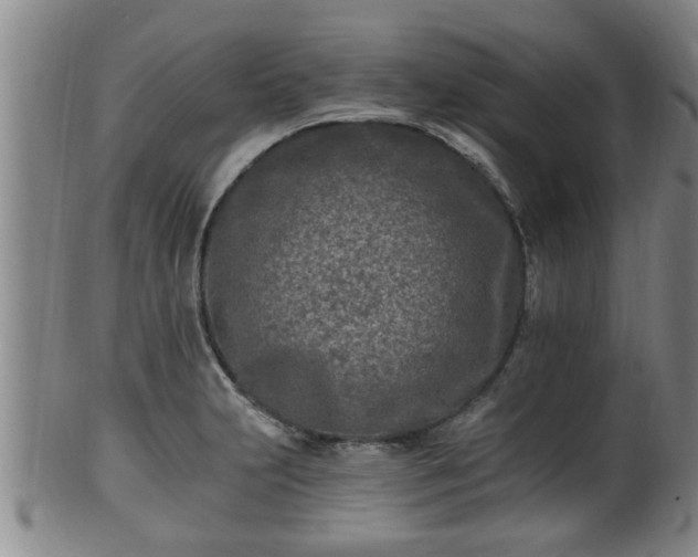 X0000100871231200806271105