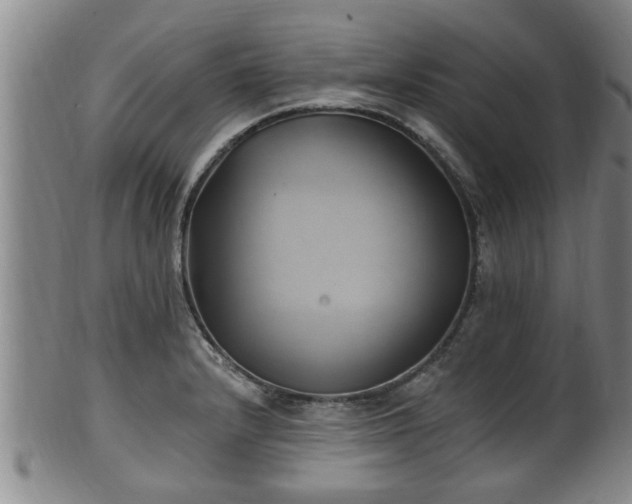 X0000100871232200806271105