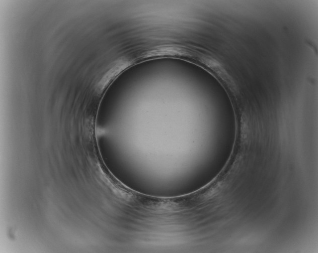 X0000100871233200806271105