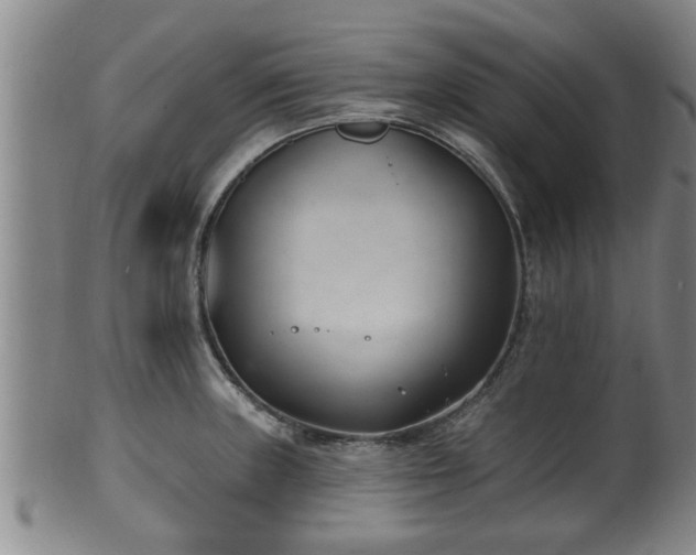 X0000100871235200806271105