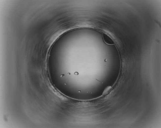 X0000100871236200806271105