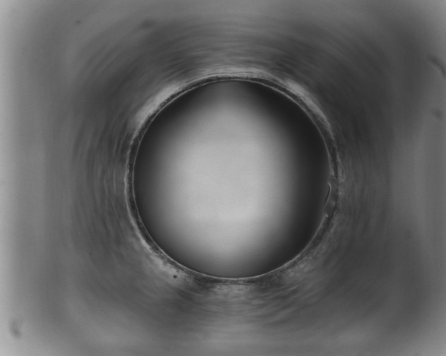 X0000100871237200806271105