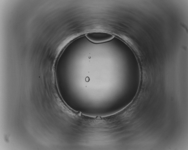 X0000100871238200806271105